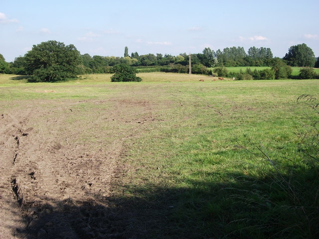 Field east of Edge Lane, Blackford Hill