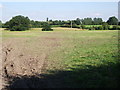 Field east of Edge Lane, Blackford Hill