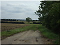 Farm track, Billyards Farm