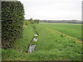 Field  Drain  Near  Moxby  Priory  Farm