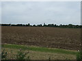 Farmland off the A631