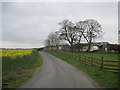 Farm  Road  Passing  Moxby  Moor  Farm