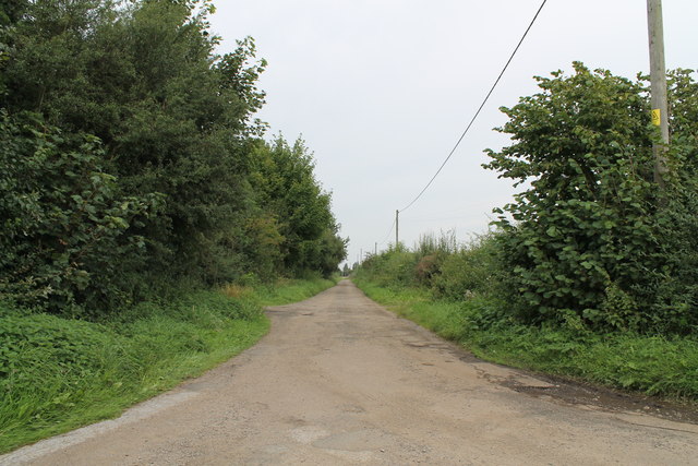 Moor Lane, near Lodge Farm