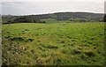 Field beside Downhayne Brake Road