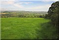 Field beside Downhayne Brake Road