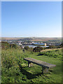 Seat, Castle Hill Nature Reserve