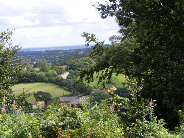 View to Ivy Lane