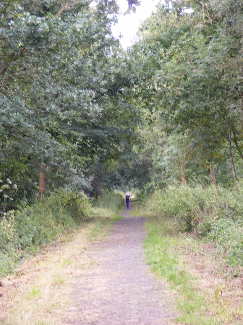 Uffmoor Wood Path