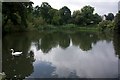 Pond by Greenfield Valley Heritage Centre