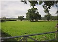 Field at Tritchmarsh