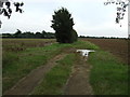 Farm track (footpath), Mill Hill