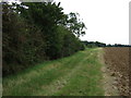 Farm track (footpath) towards Caenby