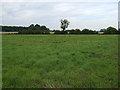 TF0096 : Farmland, Common Farm by JThomas