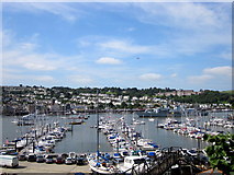 SX8851 : The River Dart From Kingswear by Roy Hughes