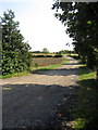 Track to Holcotmoors Farm