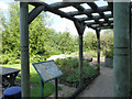 SK7953 : Lockside Park, Sensory Garden  by Alan Murray-Rust