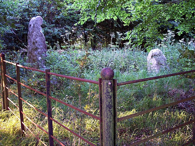 Brimble Hill Clump: Duke's Grave Enclosure