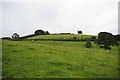 SJ7946 : Pasture near Finney Green by Glyn Baker