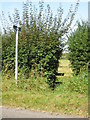 The Boundary Walk goes through the hedge