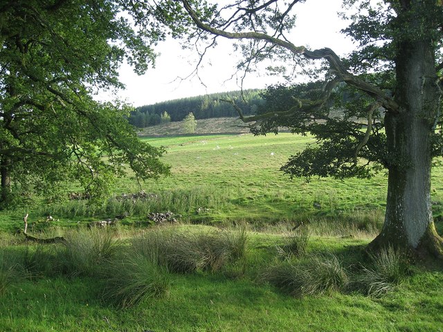Field near Berryland
