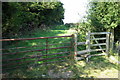 Path to Hurst End passes Moulsoe Old Wood