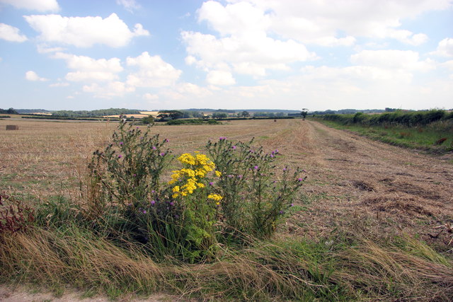 Fields beside the B1355 towards Creake