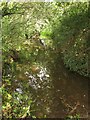 Flooded green lane, Lexhayne