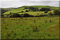 Farmland near Gellioedd