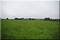 Pasture near Lower Stoneylow Farm