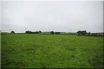 SJ7843 : Pasture near Lower Stoneylow Farm by Glyn Baker