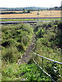 Path down to the A421