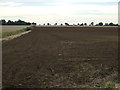 Farmland near Waddingham