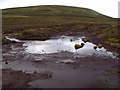 NN8586 : Boggy ground in catchment of River Feshie near Aviemore by ian shiell