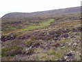 NN8586 : Course of Caochan an Duine on southern aspect of Carn an Fhidleir Lorgaidh above  Glen Feshie, Aviemore by ian shiell
