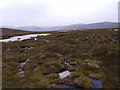 NN8586 : Boggy wet flats east of Caochan an Duine in catchment of River Feshie near Aviemore by ian shiell
