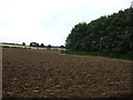 Farmland, Thorncroft Farm