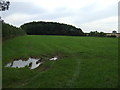 Farmland and woodland near Low Farm