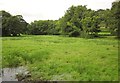 Meadow by the Umborne Brook