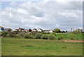 Housing on the edge of Oare