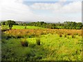 Tullymuck Townland