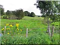 Dunteige Townland