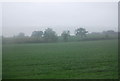 Farmland by the A66