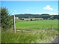 Footpath to Over Silton (summer view)