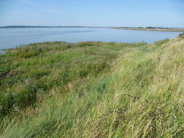 Salt marsh near the mouth of Cliffe Creek