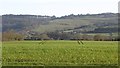 Arable land beneath the Quantock Hills