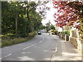 Stoney Ridge Road - viewed from North Bank Road