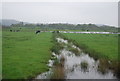 TQ0314 : Drainage ditch, Amberley Wild Brooks by N Chadwick