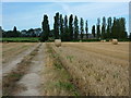 Footpath to Luddenham