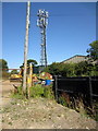 Mobile phone mast by the bridleway