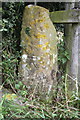 Benchmark on gatepost on Fullicar Lane